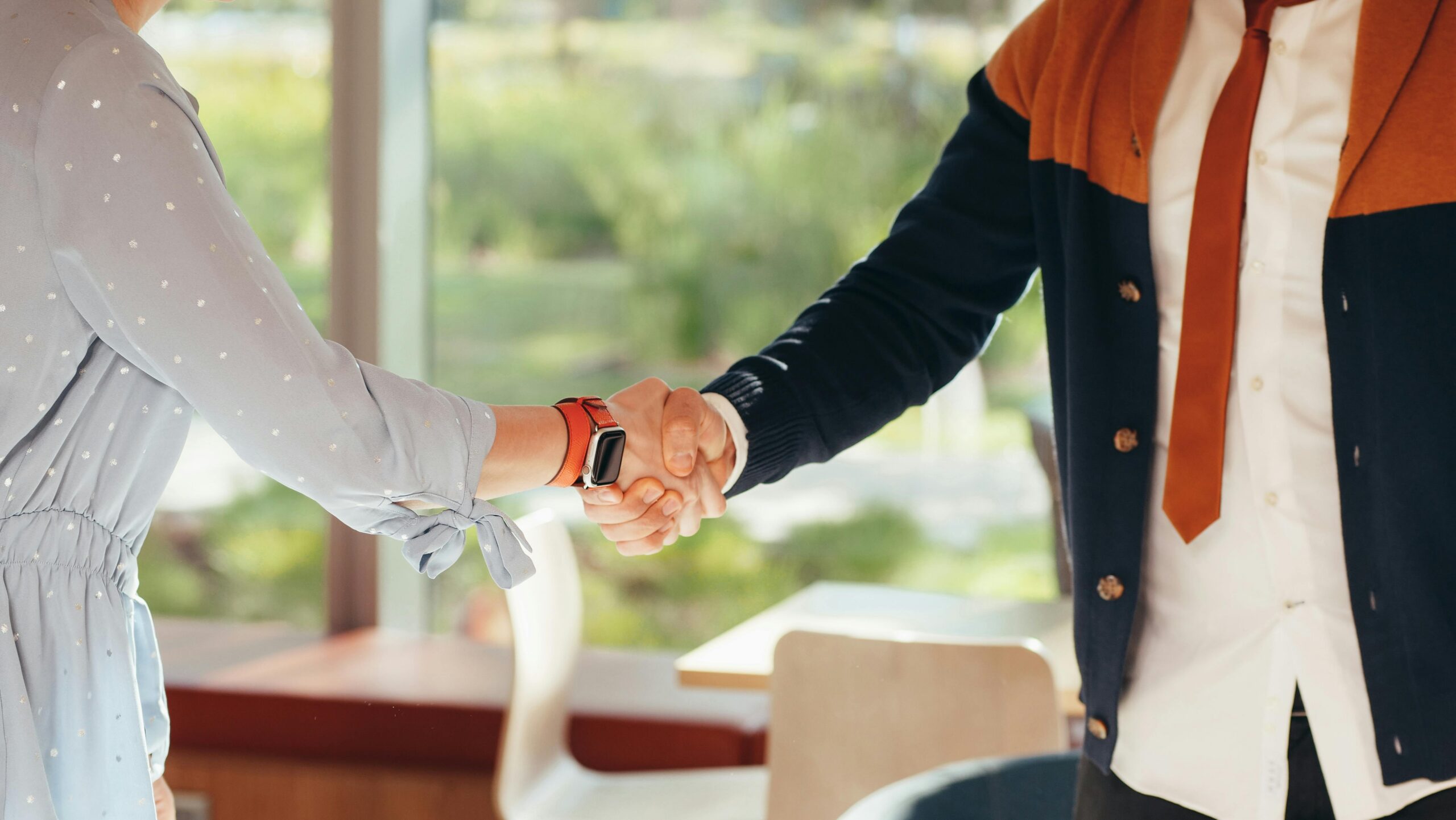 Two people shaking hands.